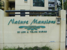 Nature Mansions (D15), Apartment #1174222